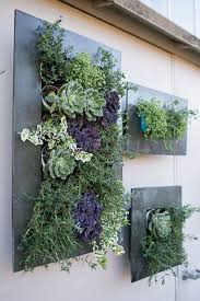 Zinc Wall Planter Accent Decor Wall Planter Wall Planters Outdoor Succulent Wall Planter