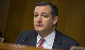 Cruz backs Glenn in Republican U.S. Senate primary