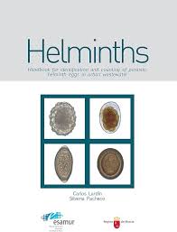 Image result for Helminth