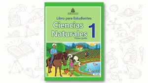 Asimismo, analizaron con atención los contenidos correspondientes a los primeros cuatro grados de la educación primaria. Educatrachos Pasaporte De Aprendizaje