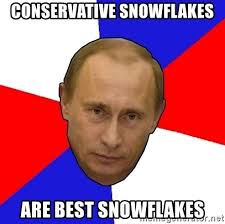 Image result for conservative snowflake