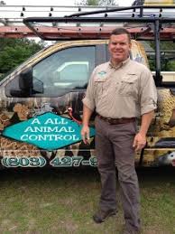 There is no free lexington animal control for wildlife issues. A All Animal Control Lexington Sc Possum Removal Possum Control