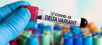 En reino unido ya se estableció como la variante dominante y ahora. Delta Variant Attaches More Easily To Body Cells Olhar Digital
