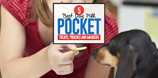 top 5 best dog pill pocket treats