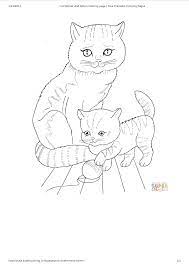Free, printable coloring pages for adults that are not only fun but extremely relaxing. Gratis Cat And Kitten Coloring Page