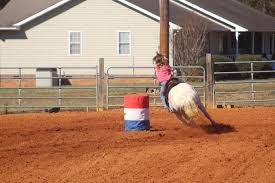 Profil för Wild Card Photography