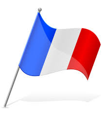 Mayotte 🇾🇹 the mayotte flag emoji shows the coat of arms against a white background, consisting of a shield with a cloud design, a sideways crescent and flowers in blue and red segments. Flag Of Mayotte Vector Illustration 489538 Vector Art At Vecteezy