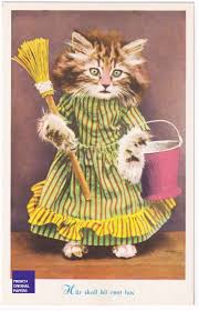 Funny Cat Unused Postcard From Sweden 1960s Anthropomorphism Kitten Humanized Maid Cleaning Lady Broom Brush Ephemera Vintage In 2020 Cute Cats Cats Crazy Cats