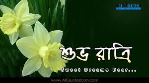  Good Night Wallpapers Bengali Quotes Wishes For Whatsapp Greetings For Facebook Images Life Inspiration Q Good Night Image Good Night Images Hd Good Night Moon
