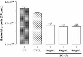 Image result for Senecio polyanthemoides