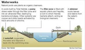 Natural Pools Eco Brooklyn Inc Natural Swimming Ponds Natural Pool Natural Swimming Pools