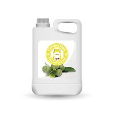How do you say 'kumquat' in spanish? Kumquat Syrup Manufacturer Supplier From Taiwan Wholesale Distributors Bubbleteapowderb2b Com