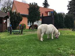 Užijte si pohodové odpoledne doma. Den Deti V Praze 2021 Cerven