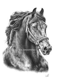 Pin Van Gina Johnson Op Horses In Graphite Paard Tekeningen Paarden Fries Paard