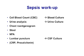 The most common sites of infection are the respiratory, genitourinary, and gastrointestinal systems, as well as the. Antibiotic Choices For Infections Which Require Hospitalization Rodolfo E Begue Md Chief Infectious Diseases Pediatrics Lsuhsc Ppt Download