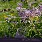 Plantology on Tap: Wilding Your Yard event image