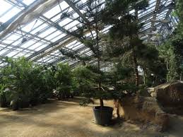 Universitaet bayreuth setzt im garten auf bobcat. Gewachshaus Regenwald Bild Von Okologisch Botanischer Garten Bayreuth Tripadvisor