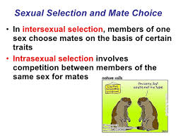 In a sample of men (n = 164), we sought to provide further evidence on the effects of men's physical dominance and sexual attractiveness on mating. Ap Chap 51 Animal Behavior