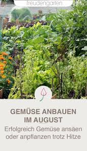 Gemuse Im Sommer Aussaen Gemusegarten Anlegen Garten Und Garten Pflanzen
