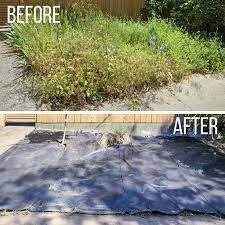 If you want to get rid of a larger patch of onion weed. How To Revive An Overgrown Garden The Handyman S Daughter