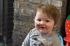 Devastated parents pay tribute to Harri Stickler after three-year-old  'hero' loses desperate battle for lifesaving treatment