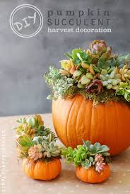 A Beautiful No Carve Pumpkin Decorating Option Harvest Decorations Fall Centerpiece Fall Thanksgiving