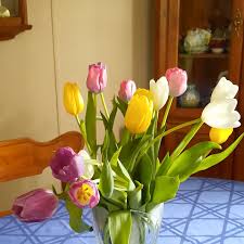 Deborah Currie (@curriedeborah_) • Instagram photos and videos