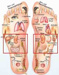 La Reflexologia Es Una Tecnca Reflexologia Terapia De Masaje Acupuntura Para Adelgazar