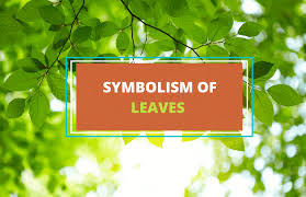 Story Of Leaf - The Symbolic Meanings - Trung Hoa