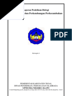 Sebenarnya dari gambar bunga matahari kita sudah dapat mengetahui apakah bunga matahari termasuk dikotil atau monokotil. Laporan Praktikum Ii Type Perkecambahan Hypogeal Dan Epigeal