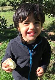 Our Work, Our Reach, Your Role