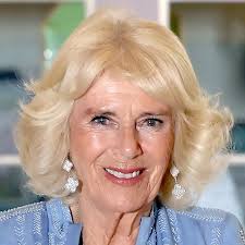 Queen Camilla too ill to attend Remembrance Sunday events, palace confirm