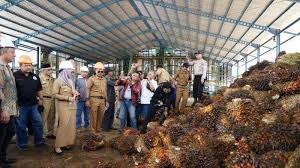 Kamis, 01 juli 2021 staf administrasi produksi pt.matahari jaya internasional lumajang. Https Makassar Tribunnews Com 2021 07 19 Indah Putri Indriani Shalat Iduladha Di Kanjiro Suaib Mansur Di Masamba Https Cdn 2 Tstatic Net Makassar Foto Bank Images Indah Putri Indriani Saat Memimpin Rakor Penanganan Covid 19 Jpg Bupati Luwu
