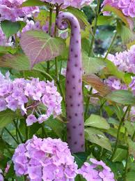 Gartenstecker Schnorkelspitze Rosa Pink Fascination Silence And Harmony These Essential Elements In 2020 Garden Art Sculptures Garden Pottery Garden Ornaments