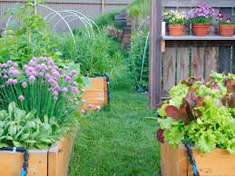 Calgary is located in alberta, canada where the bow river and elbow river meet in the south of the the city proper of calgary has a population of 1.16 million, while the calgary census metropolitan. Calgary Gardening Tips