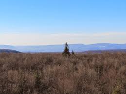 Media related to mount davis (pennsylvania), a mountain in the forbes state forest in elk lick township, somerset county, pennsylvania, united states and, at 3,213 feet (979 m), is the. Mt Davis Tallest Mountain In Pennsylvania Somerset County Interesting Pennsylvania And Beyond