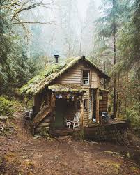 Cabin Hidden Away In Woods Of Washington State Http Ift Tt 2hwwzhk Cottage In The Woods Cabins In The Woods Cabin