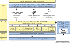 Already today thousands of products come from. Transgenic Crop An Overview Sciencedirect Topics