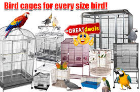 discount bird cages a e cages free shipping