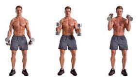 hammer curls week 1 sets 4 reps 12 10 8 25 calisma egzersiz kol kaslari