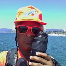 Cathy Gibson Art for Sale