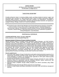 Executive Assistant Resume Example Sample
