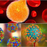 वायरस from www.aajtak.in