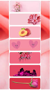 What Is The Difference Between Pink And Rose? - Fashion And Beauty