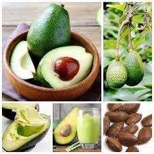 Choose from strawberry, melon, and rhubarb fruit seeds; Fruit Trees Fruit Salad Tree Us