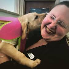 Nellie, The Seeing Eye puppy currently being fostered by Library Events &  Outreach Specialist Laura Matthews, has been a frequent visitor to the  Villanova campus. As you can see, Nellie has taken