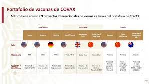 La fase 3 es compleja y lleva tiempo, a la mitad de los voluntarios se les administra la vacuna experimental y a la otra mitad una inyección de placebo u otra vacuna inofensiva. Etapas De Vacunacion Contra El Covid 19 En Mexico Iniciara Este Diciembre Capital 21 Noticias