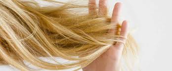 Inadequate brushing, using industrial dyes, certain hair treatments, chemicals used in straightening, and constantly using a flat iron are just a few of the. Cause And Treatments For Dry Hair Kuumba Community Arts