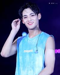 Most Handsome K Pop Male Idols Seventeen Mingyu Kim Woojin Matthew Kim Kpop K Pop Music K Pop Boy Groups Best K Pop Boy Band Handsome K Pop Music