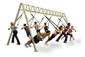 Image result for trx